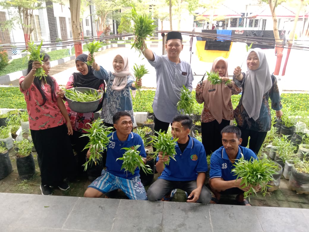 Dukung Ketahanan Pangan Nasional, LPKA Mamuju Bersama Peserta Magang dan Anak Binaan Panen Kangkung